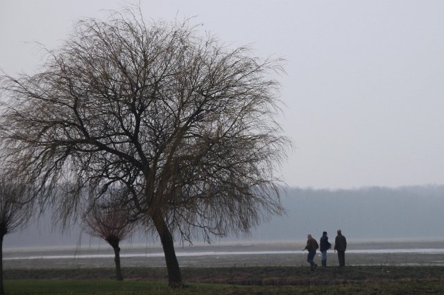 vrijwilligers17febr 025